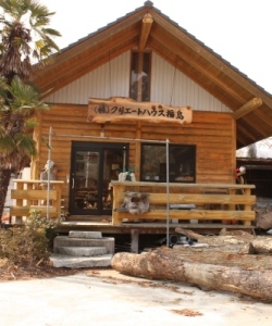 サンプル画像